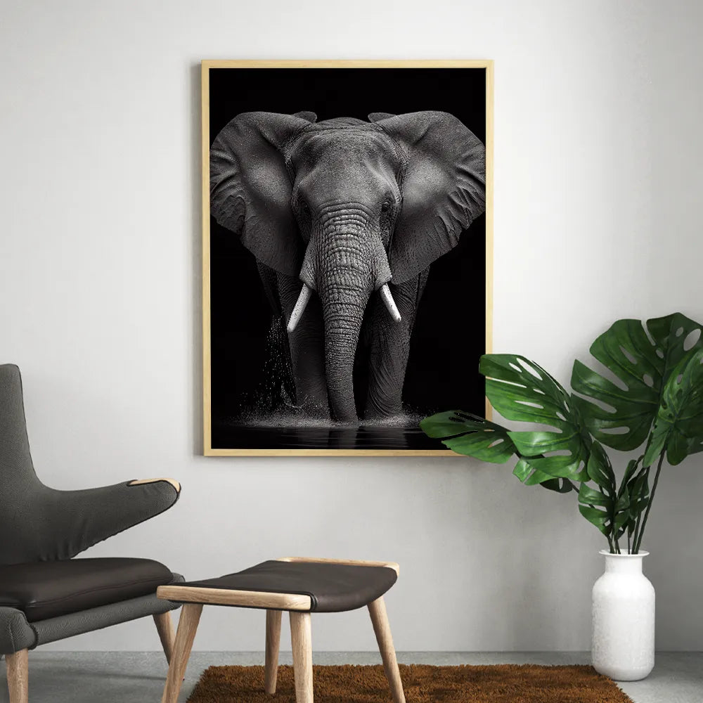 Tableau l phant Noir et Blanc