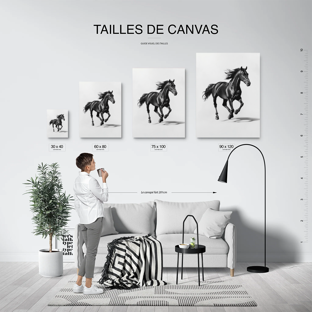 Tableau de Cheval Noir et Blanc