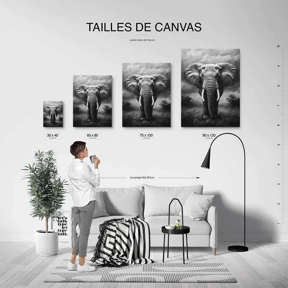 Tableau Eléphant Noir et Blanc