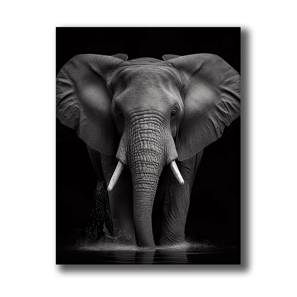 canva-elephant-noir-et-blanc