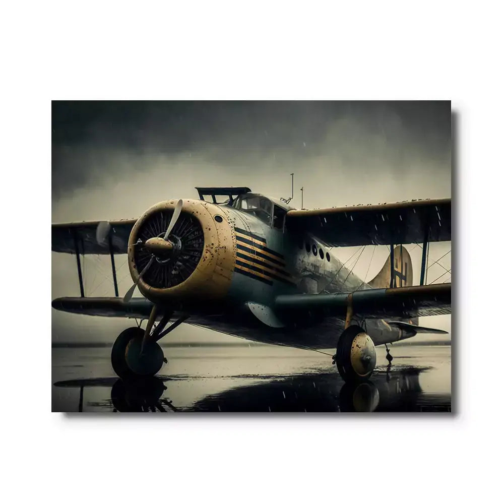 tableau avion vintage