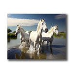 chevaux en camargue