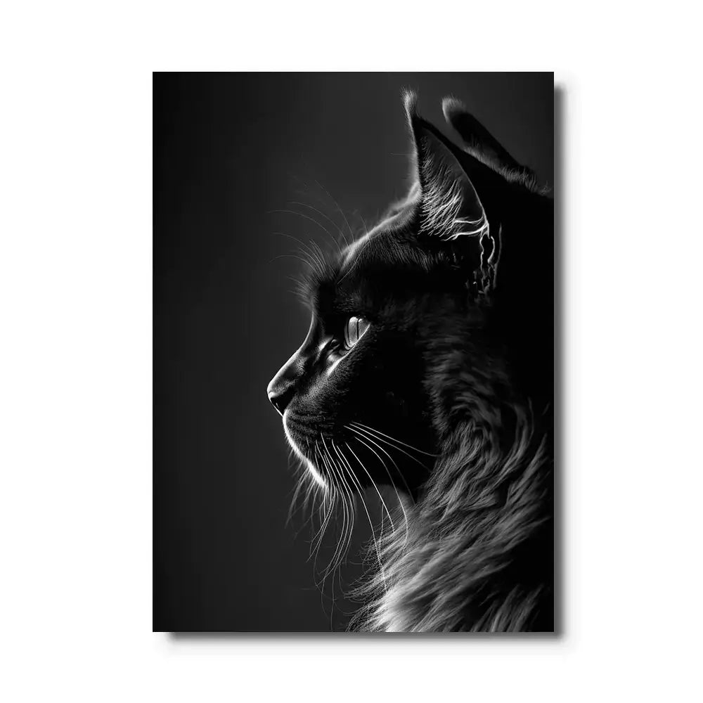 tableau de chat noir et blanc