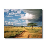 tableau paysage africain