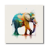 Tableau Éléphant Couleur