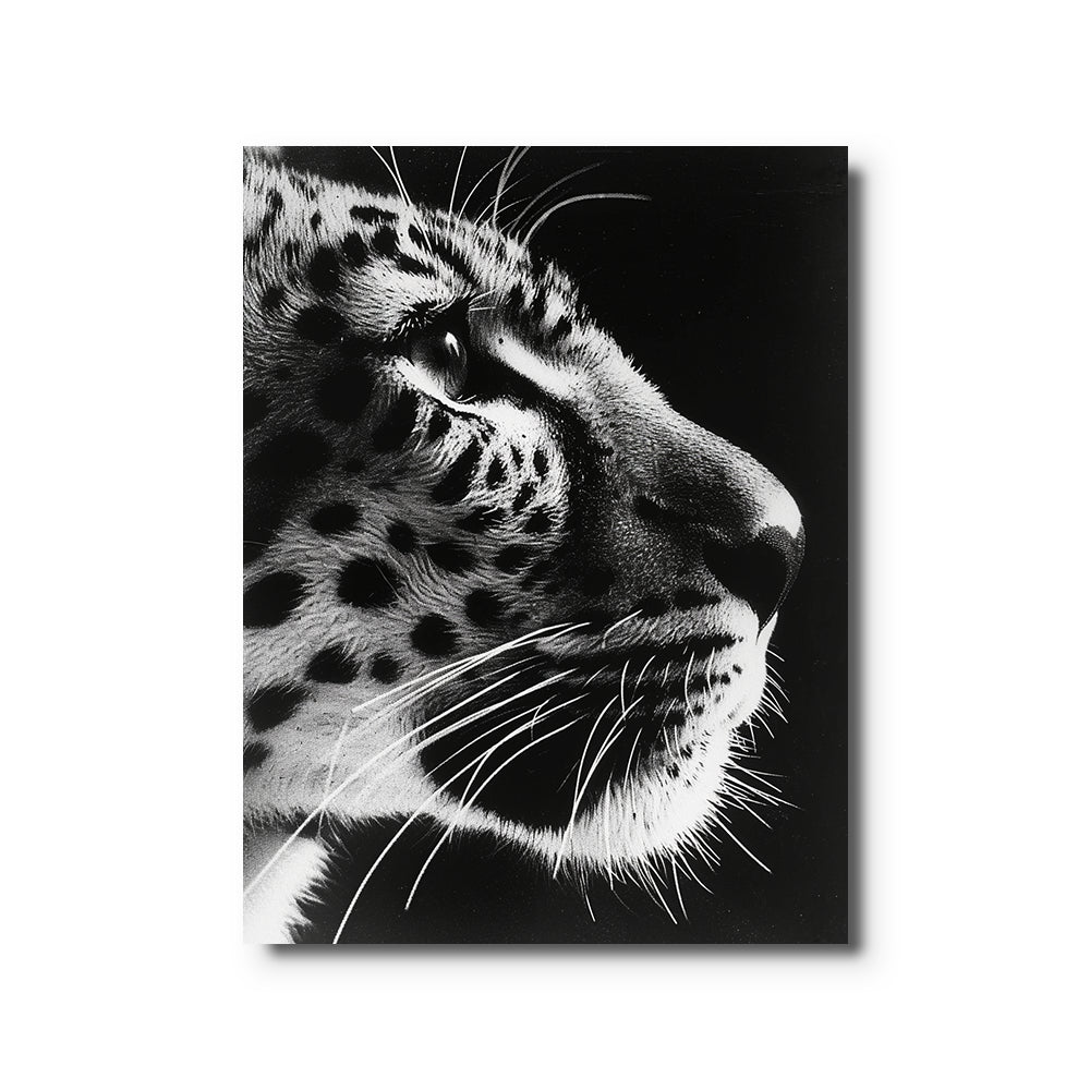toile_animaux_noir_et_blanc
